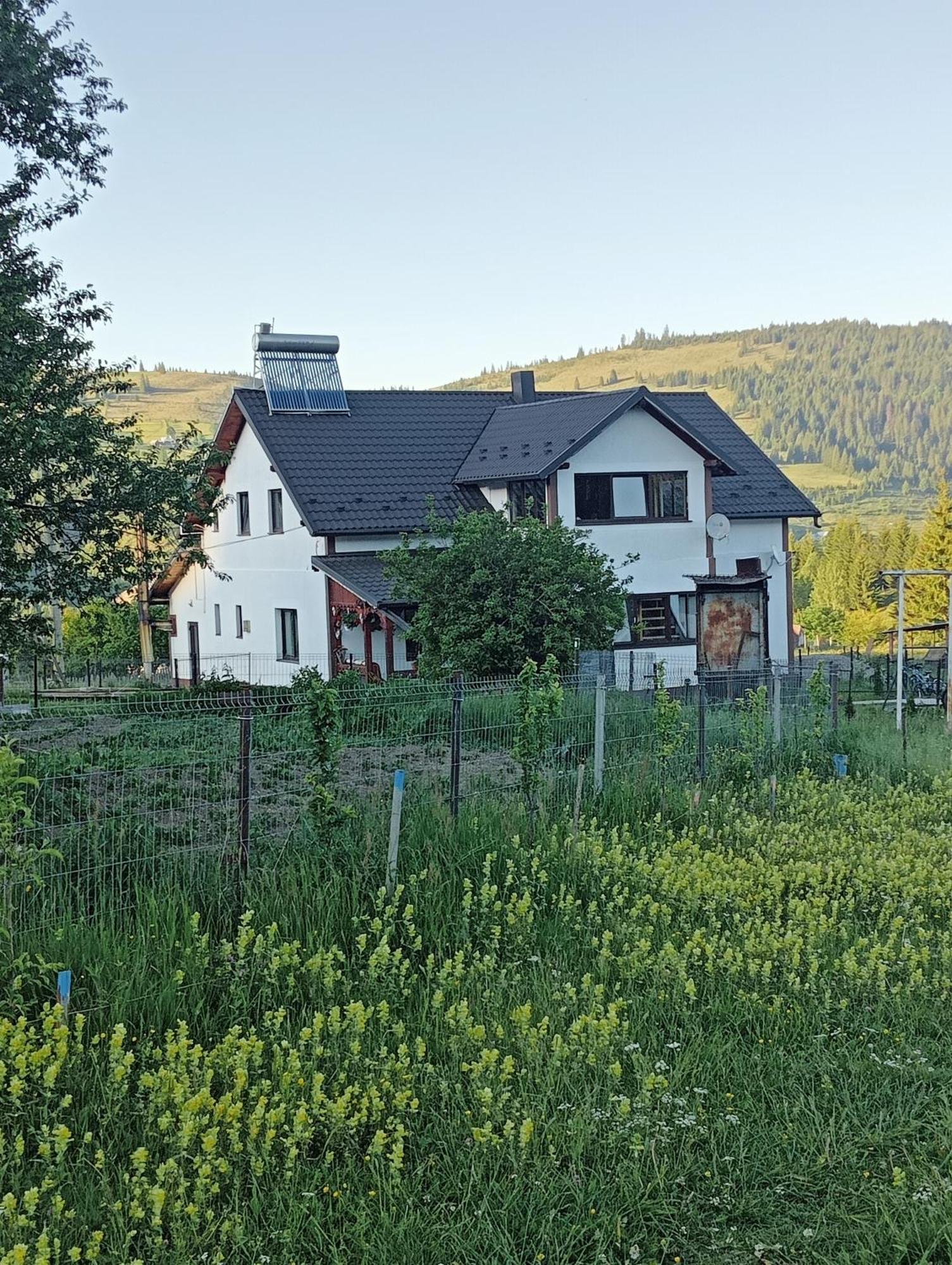 ヴァトラ・ドルネイ Casa Vasyゲストハウス エクステリア 写真