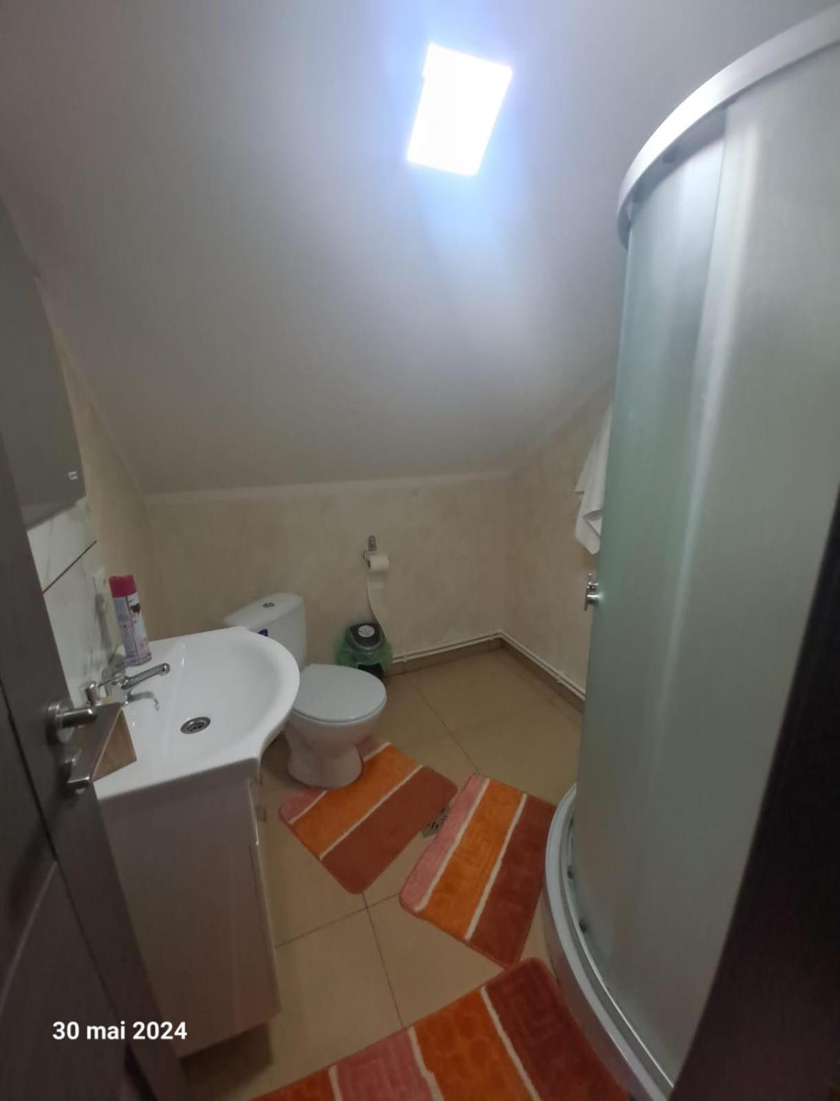 ヴァトラ・ドルネイ Casa Vasyゲストハウス エクステリア 写真